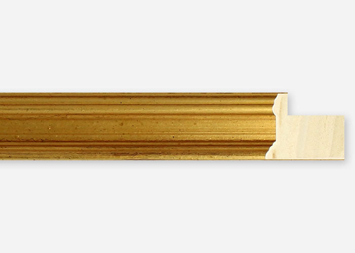 Custom Frame CFSX1100-95x