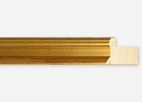 Custom Frame CFSX1100-95x