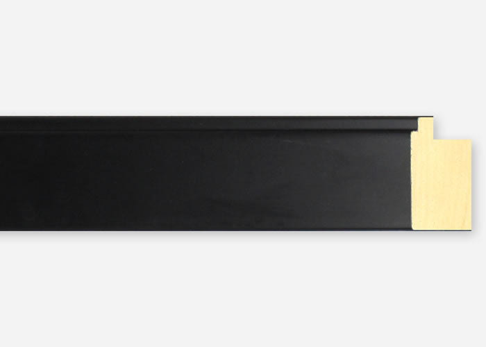 Custom Frame CFSX2415-85