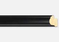 Custom Frame CFSX2420-25