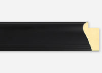 Custom Frame CFSX2420-40