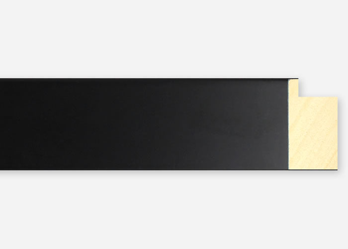 Custom Frame CFSX2420-50