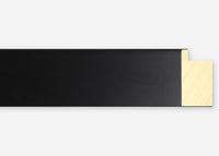 Custom Frame CFSX2420-50