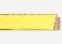 Custom Frame CFSX805-205