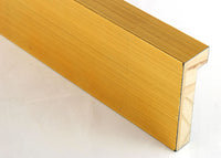 Custom Frame CFSX1100-60