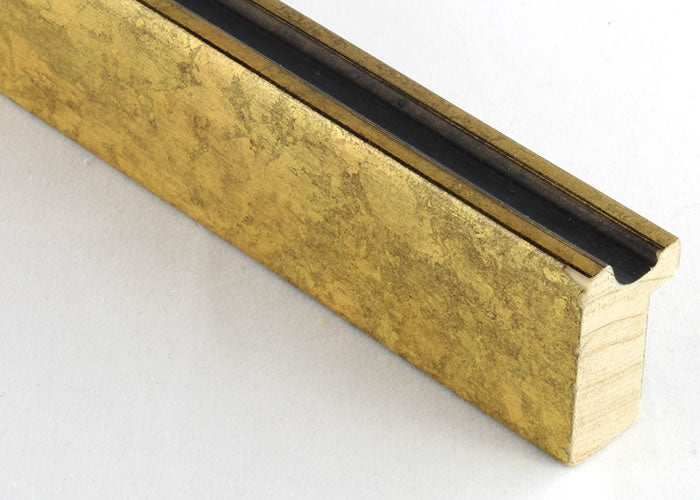 Custom Frame CFSX1300-860