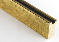 Custom Frame CFSX1300-860