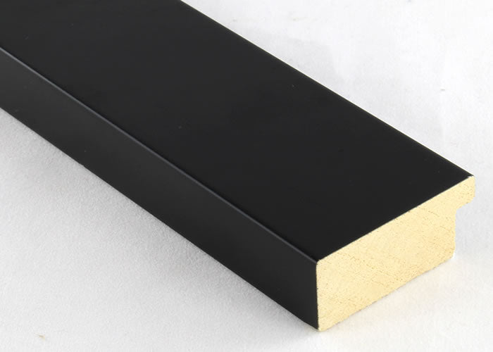 Custom Frame CFSX2400-95