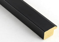 Custom Frame CFSX2410-05