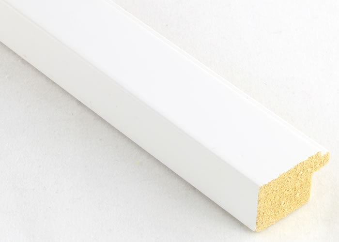 Custom Frame CFSX2410-10