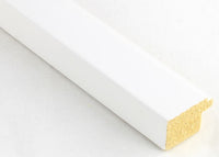 Custom Frame CFSX2410-10