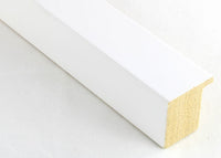 Custom Frame CFSX2410-35