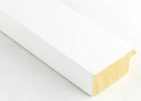 Custom Frame CFSX2410-85