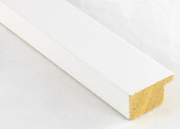 Custom Frame CFSX2415-65