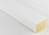 Custom Frame CFSX2420-55