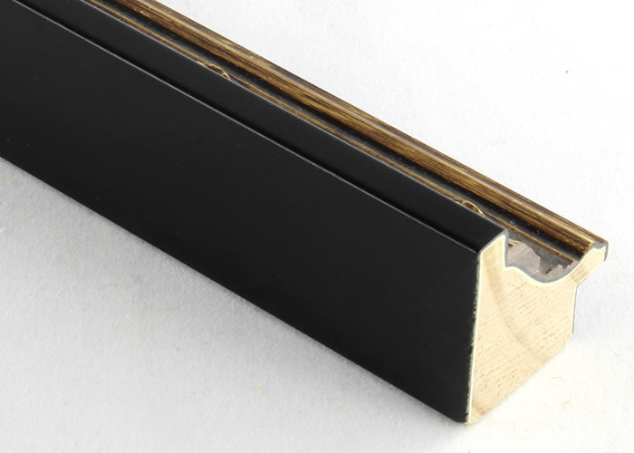 Custom Frame CFSX300-660