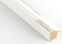 Custom Frame CFSX805-310