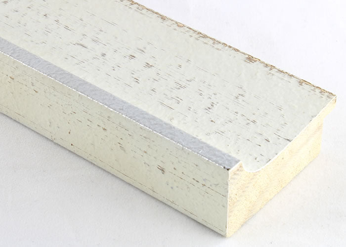 Custom Frame CFSZ8790