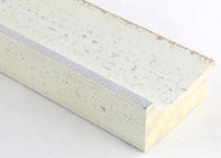 Custom Frame CFSZ8790