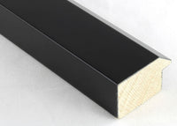 Custom Frame CFSYH3310