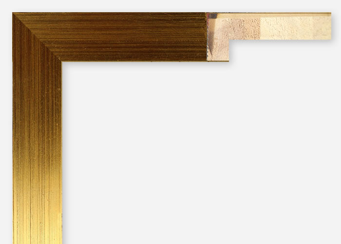 Custom Frame CFSX1100-60