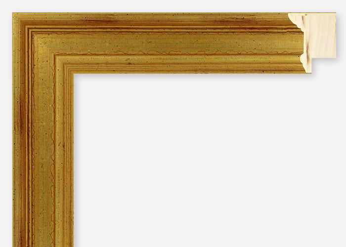 Custom Frame CFSX1100-85