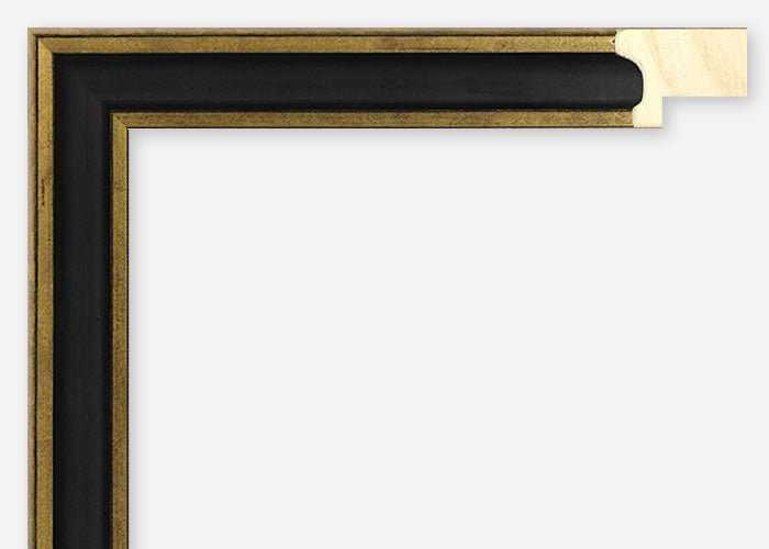 Custom Frame CFSX1300-860