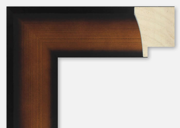 Custom Frame CFSY203-503