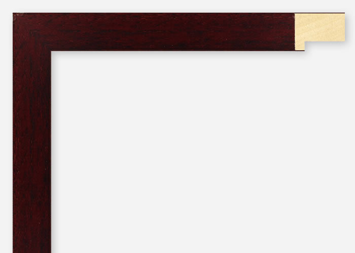 Custom Frame CFSX2400-15