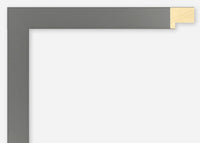 Custom Frame CFSX2400-25