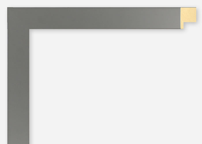 Custom Frame CFSX2400-55