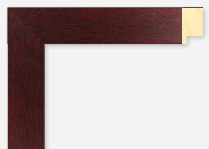 Custom Frame CFSX2400-75