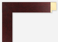 Custom Frame CFSX2400-75