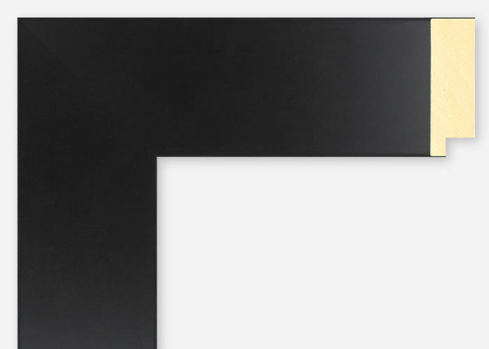 Custom Frame CFSX2400-95