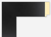 Custom Frame CFSX2400-95