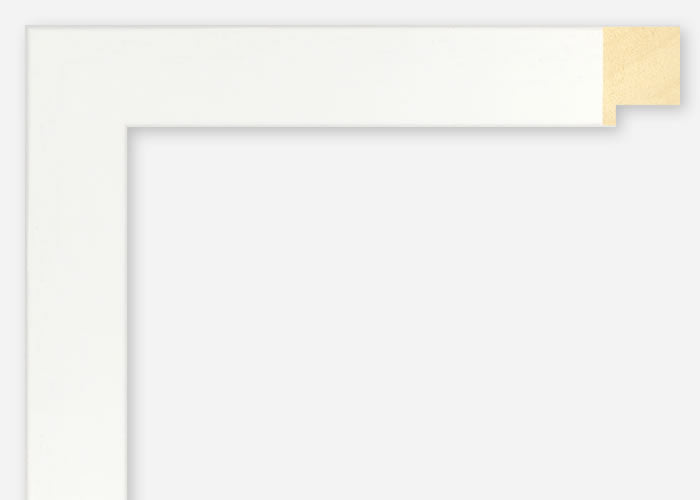 Custom Frame CFSX2405-35