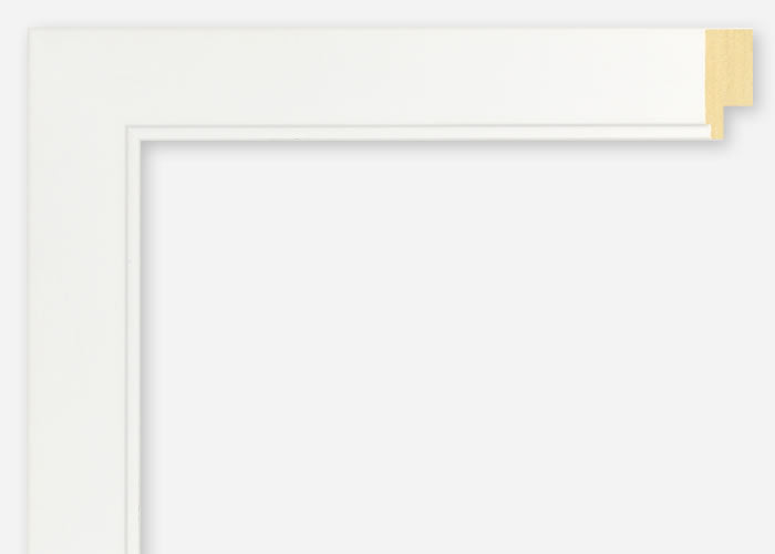 Custom Frame CFSX2410-10