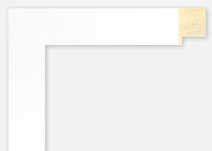 Custom Frame CFSX2410-35