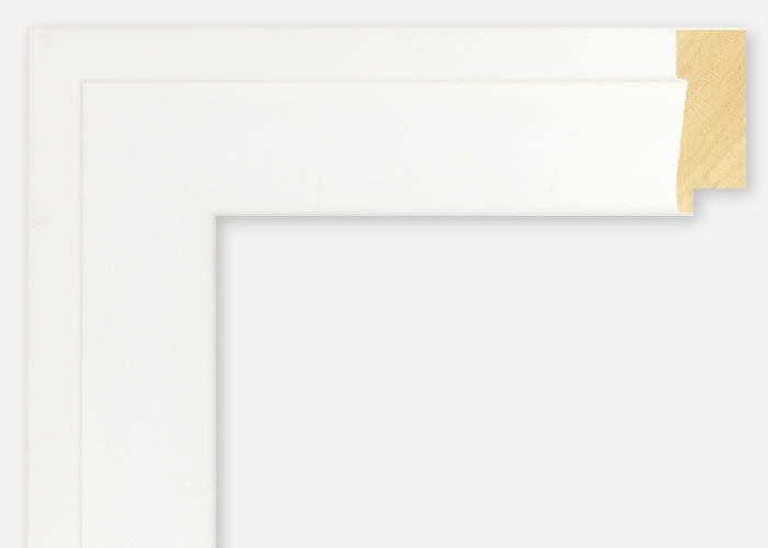 Custom Frame CFSX2410-60