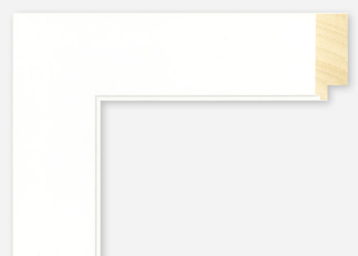 Custom Frame CFSX2410-85