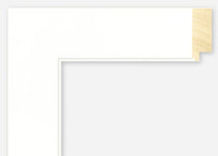 Custom Frame CFSX2410-85