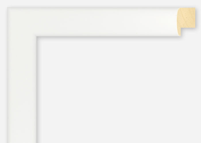 Custom Frame CFSX2415-40