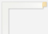 Custom Frame CFSX2415-40