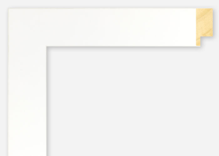 Custom Frame CFSX2415-65