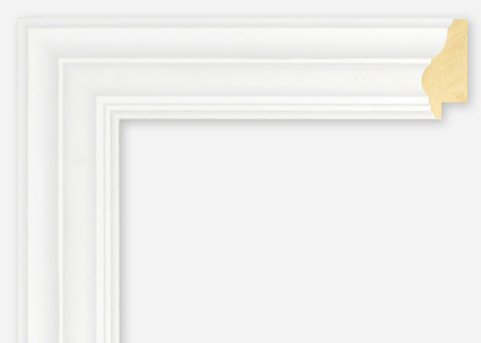 Custom Frame CFSX2420-65