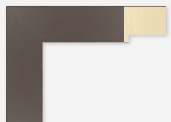 Custom Frame CFSX2425-80