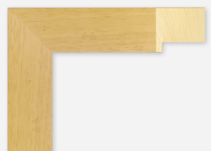 Custom Frame CFSX2430-05