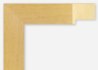 Custom Frame CFSX2430-05