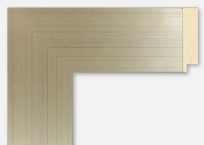 Custom Frame CFSX2430-60