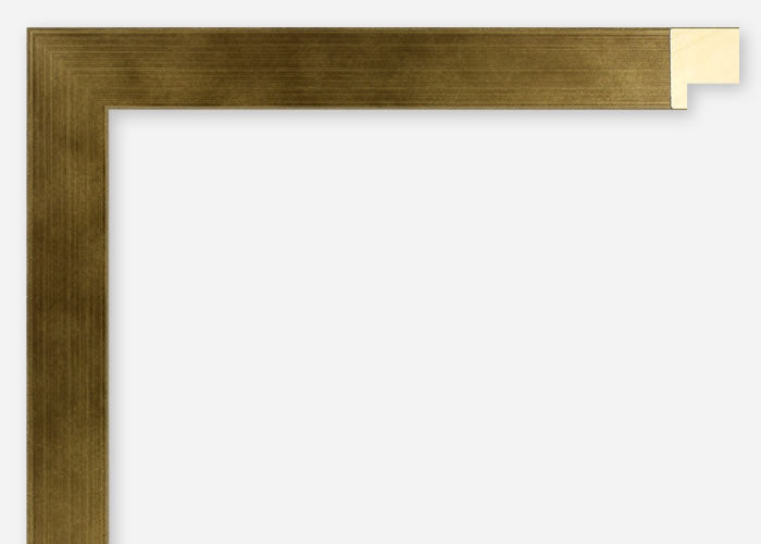 Custom Frame CFSX2435-80